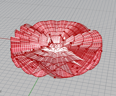 Red parametric control mesh of the shell surface in Rhino